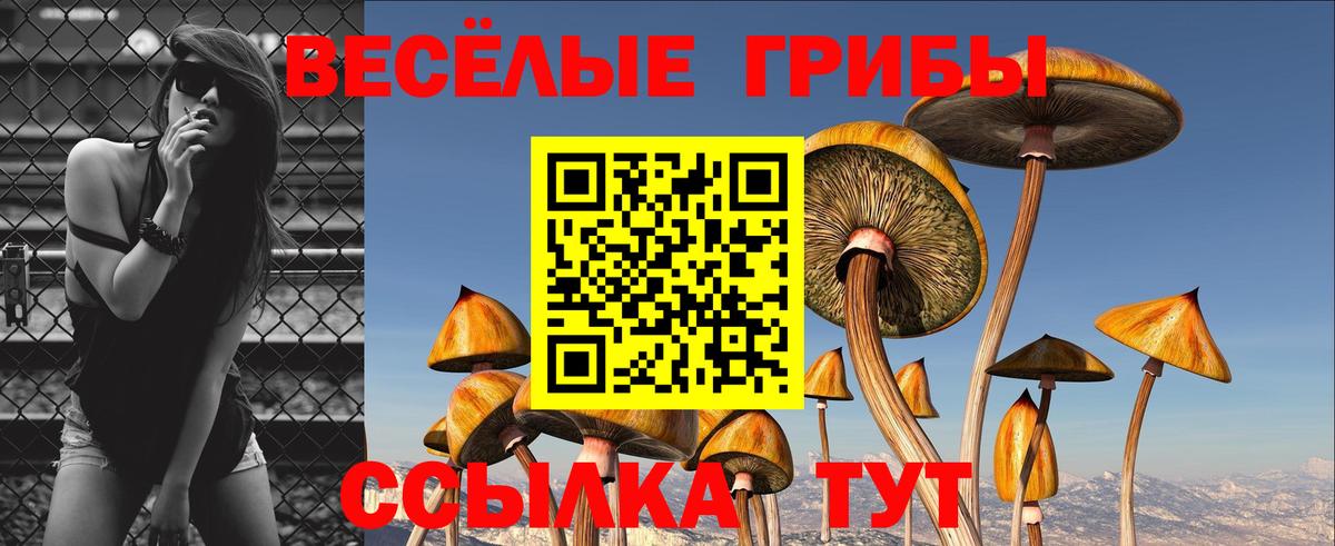 наркота  Вход с VPN  Пушкино  Галлюциногенные грибы прущие грибы 