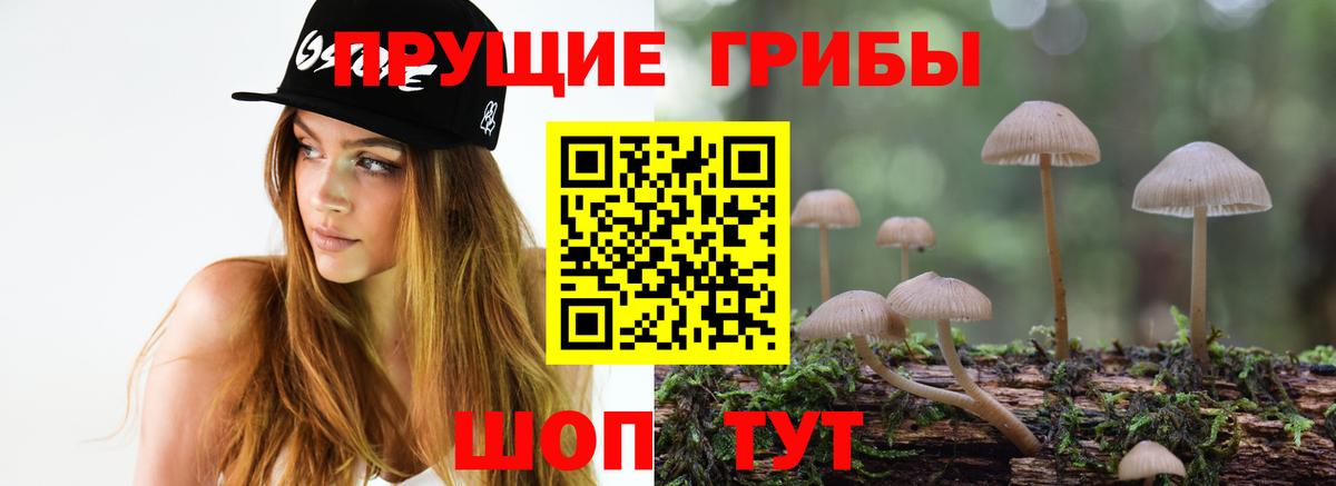 Псилоцибиновые грибы MAGIC MUSHROOMS Пушкино